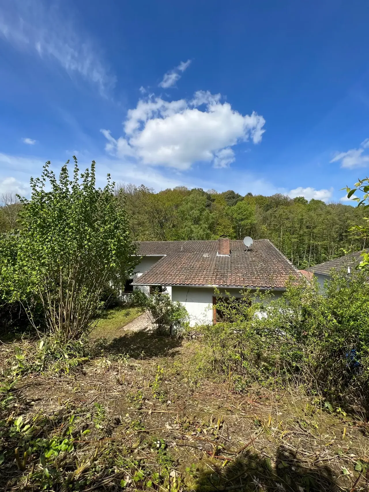 Familienhaus mit Einliegerwohnung in Wachtberg-Pech – Bild 37 von 91