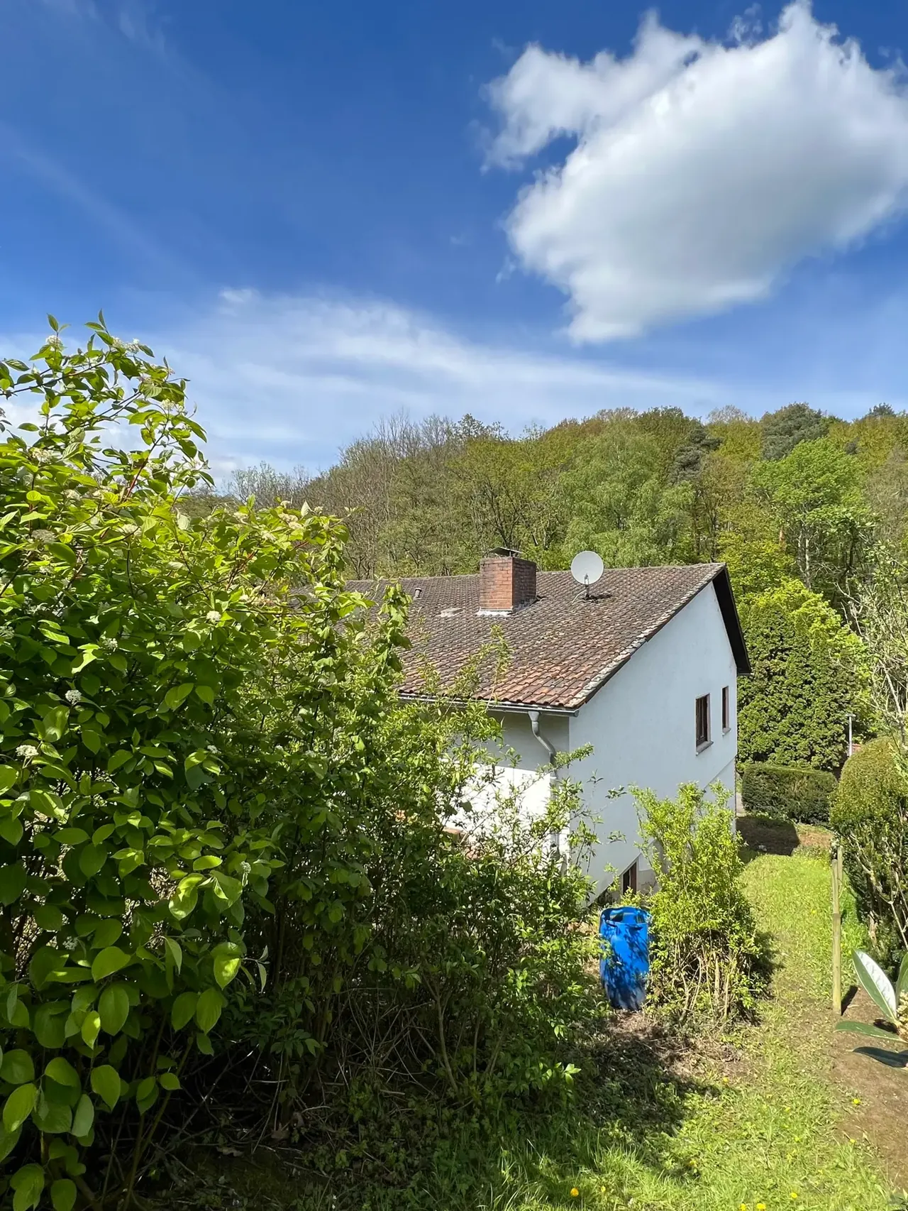 Familienhaus mit Einliegerwohnung in Wachtberg-Pech – Bild 51 von 91