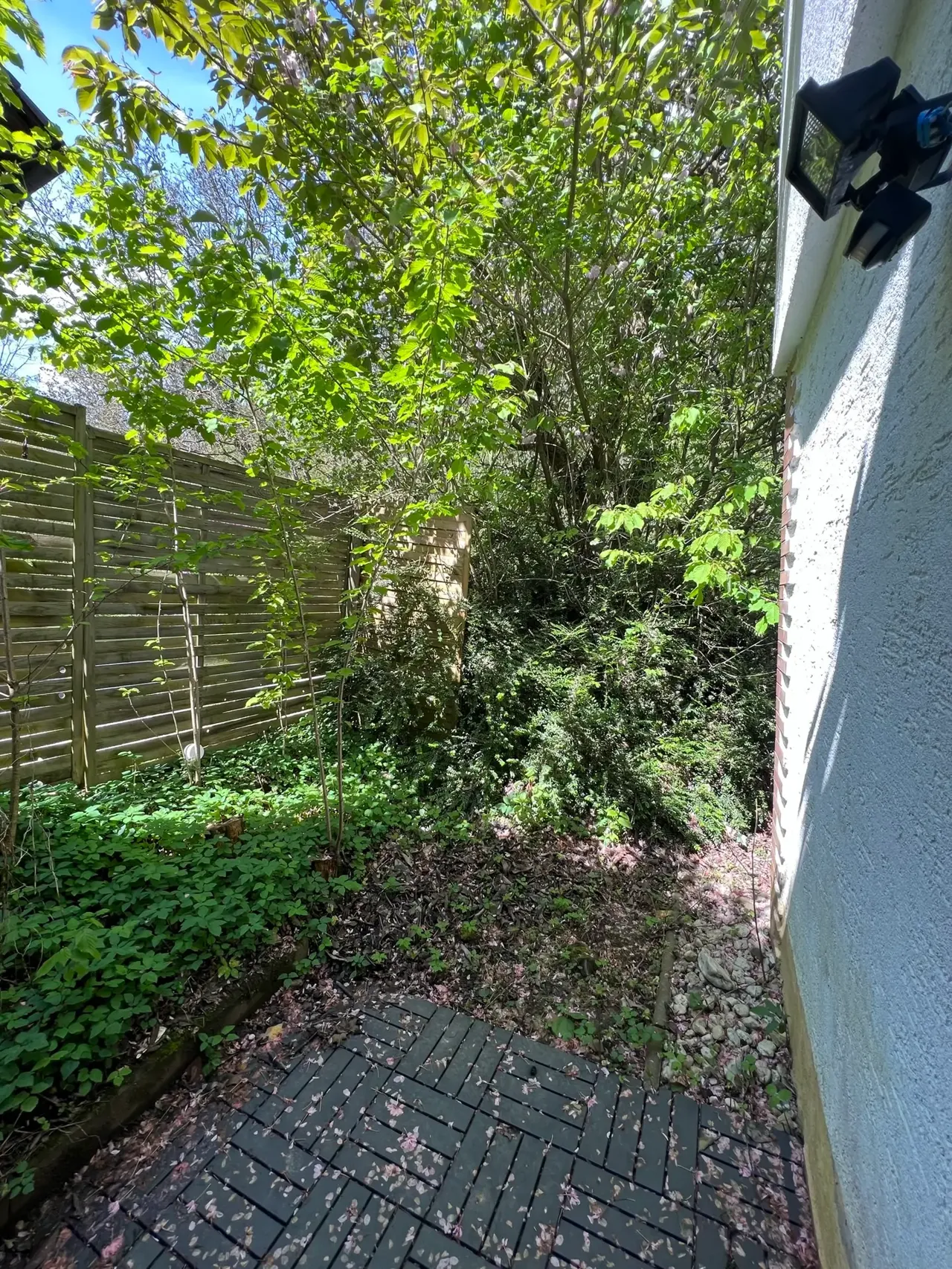 Familienhaus mit Einliegerwohnung in Wachtberg-Pech – Bild 74 von 91