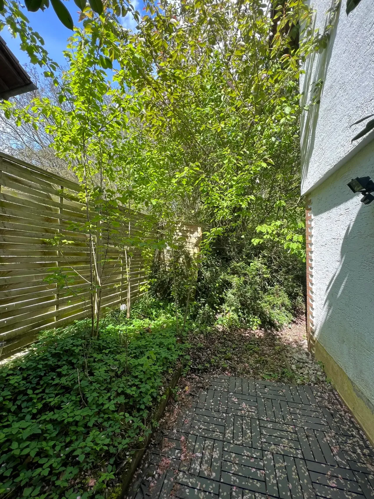 Familienhaus mit Einliegerwohnung in Wachtberg-Pech – Bild 79 von 91