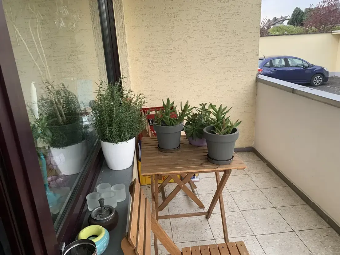 Modernisierte Eigentumswohnung in Bonner Toplage – Hochparterre mit Balkon und Garten – Bild 21 von 23
